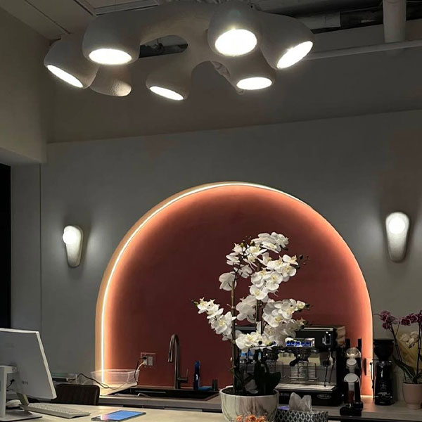 Residential lighting services
